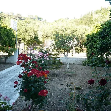 Apartment Spyros Kalamaki (Zakynthos)