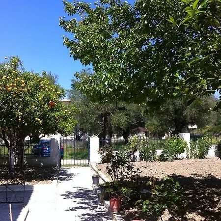 Spyros * Kalamaki (Zakynthos)