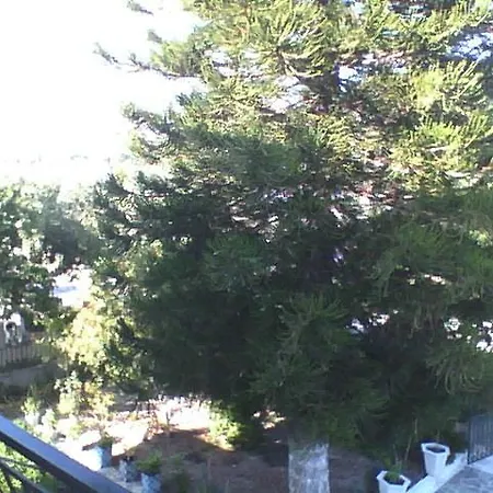 Spyros